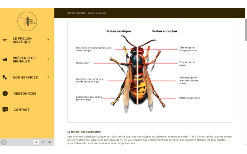 WordPress, custom templates, dedicated API, French and English.